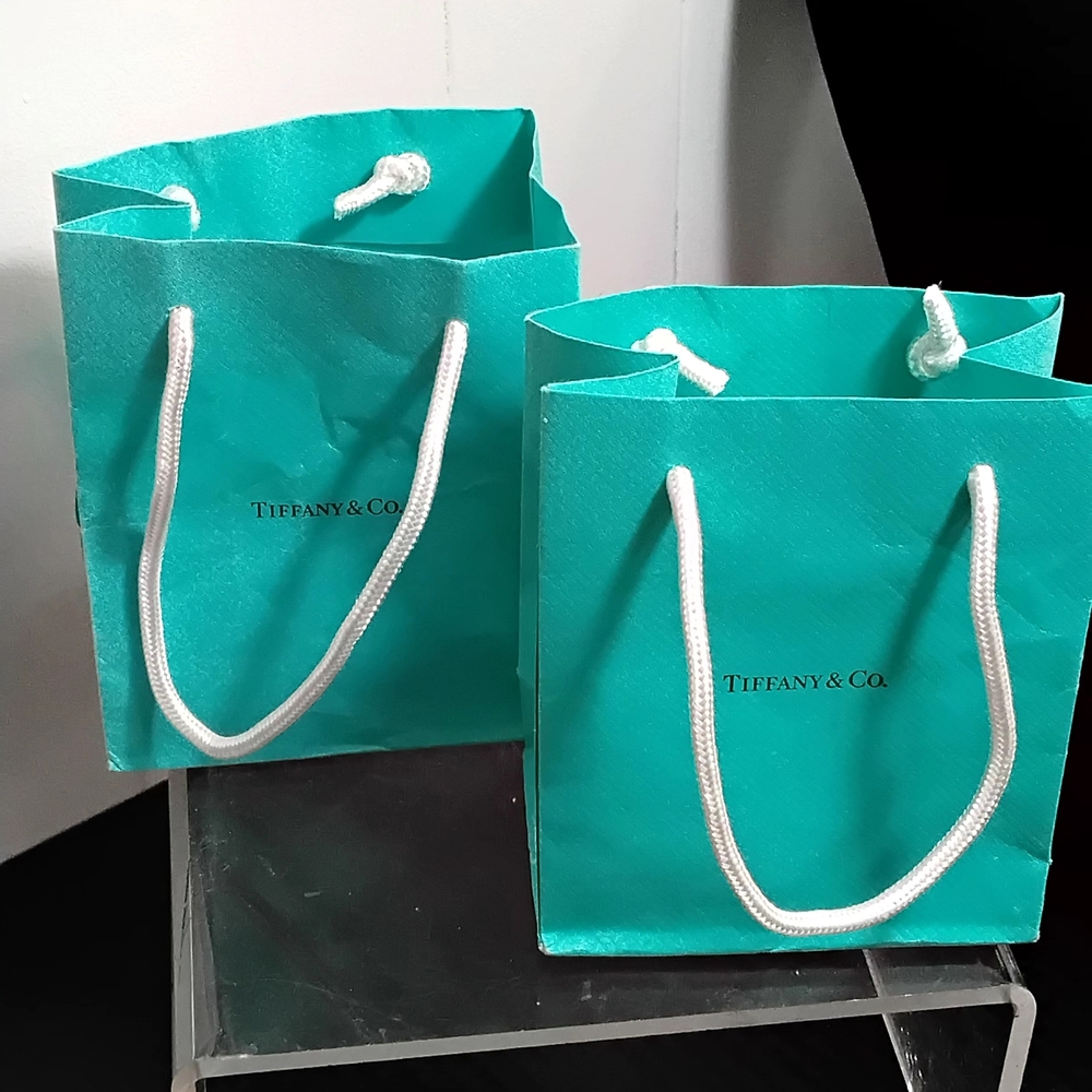 Tiffany & Co. Blue Gift Bag